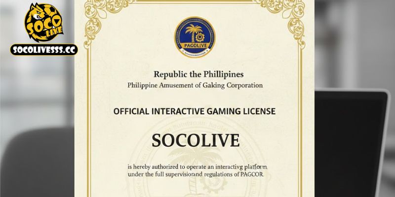 Quyền lợi của người dùng trong giấy phép hoạt động Socolive